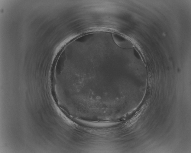 X0000066930995200603311347