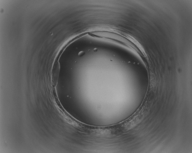 X0000066930996200603311347