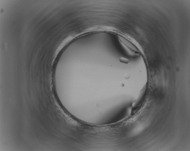 X0000066930997200603311347