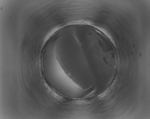 X0000066930998200603311347