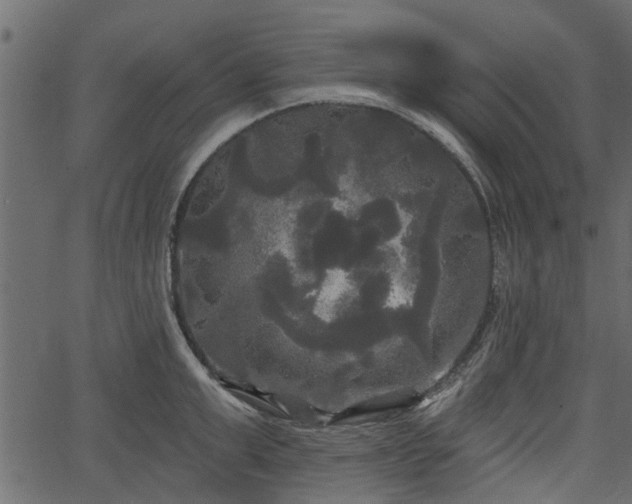 X0000066930999200603311347