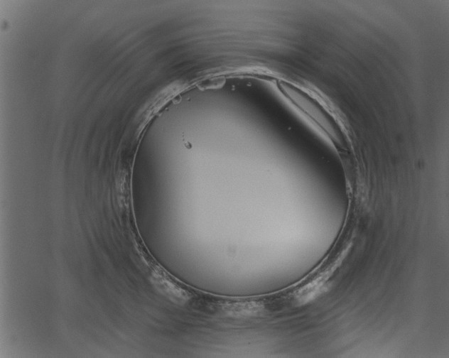 X0000066931001200603311347