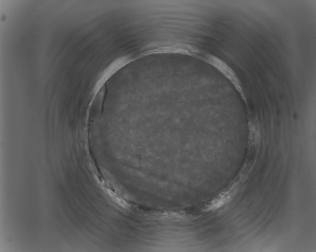 X0000066931002200603311347