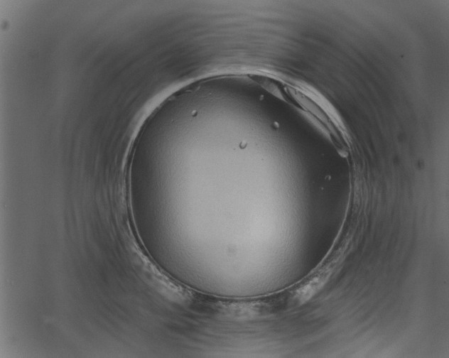 X0000066931004200603311347