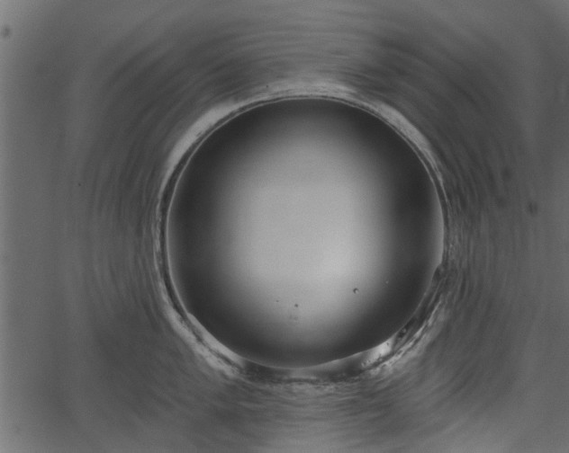 X0000066931005200603311347