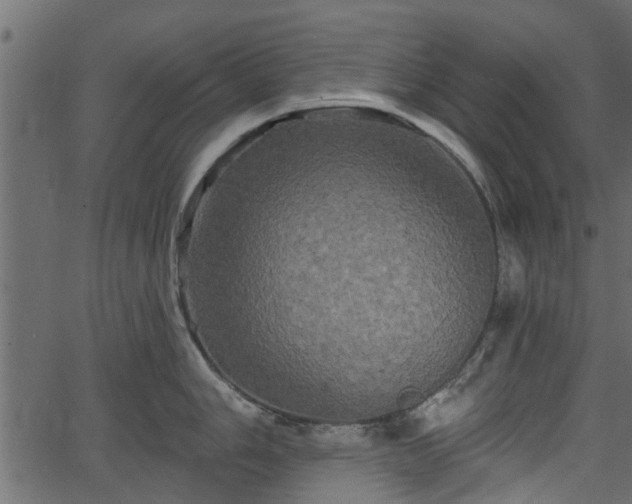 X0000066931006200603311347