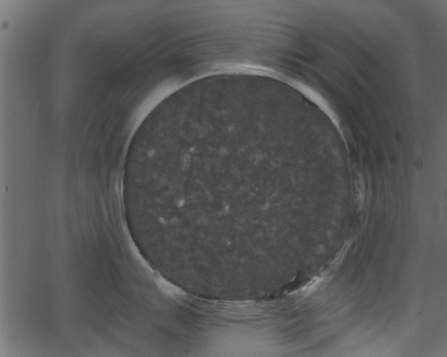 X0000066931007200603311347