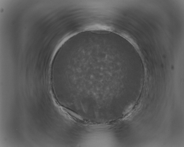 X0000066931008200603311347