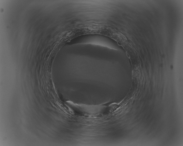 X0000066931009200603311346