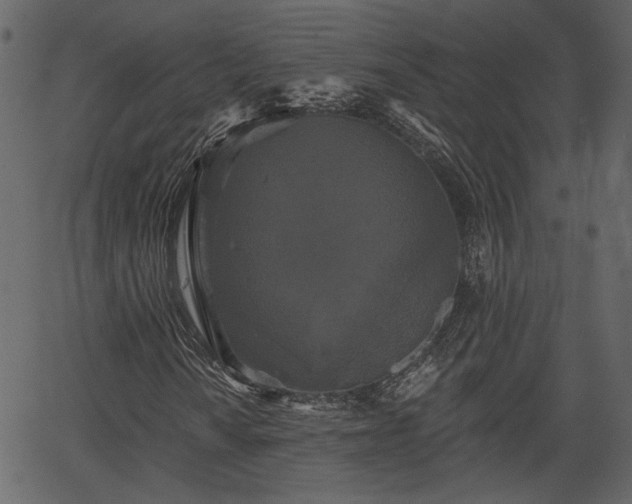 X0000066931010200603311346