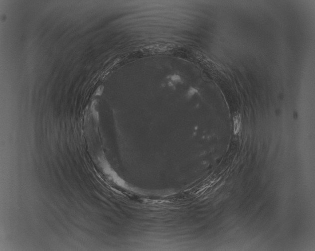 X0000066931011200603311346