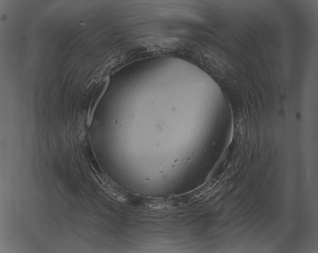 X0000066931012200603311346