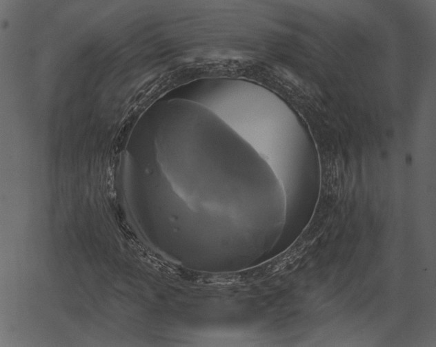 X0000066931013200603311346