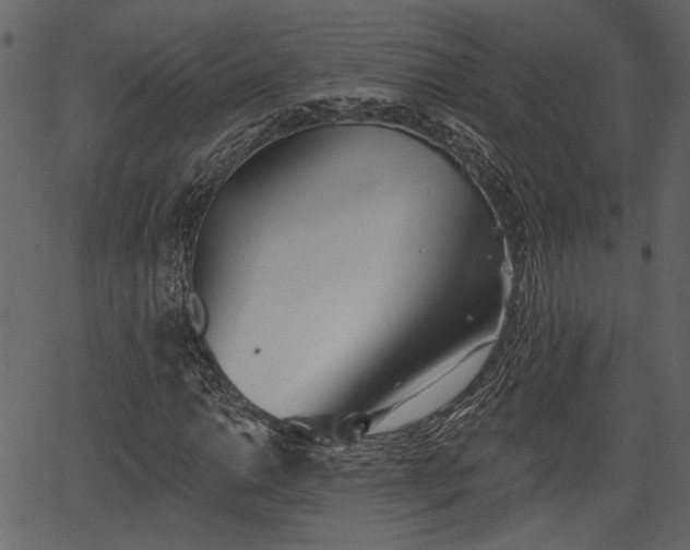 X0000066931014200603311346