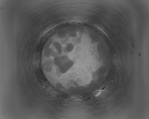 X0000066931015200603311346