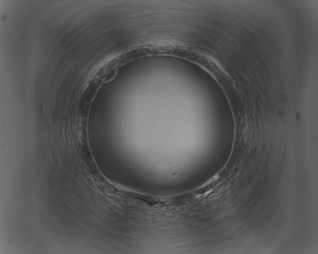 X0000066931016200603311346