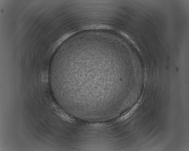 X0000066931017200603311346