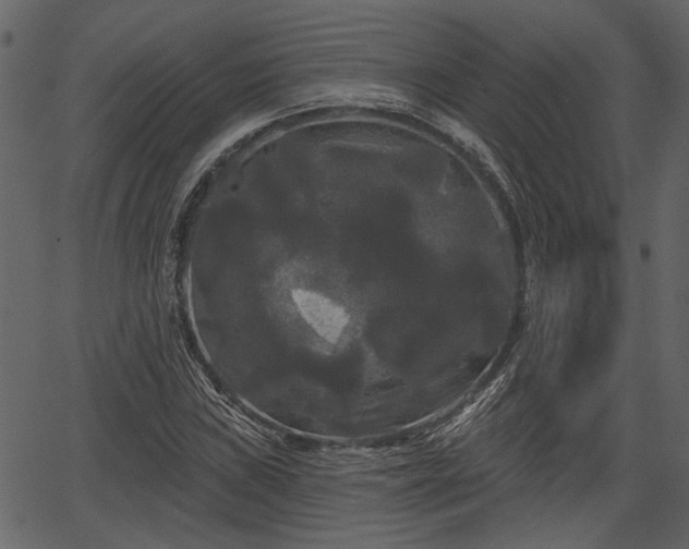 X0000066931019200603311346