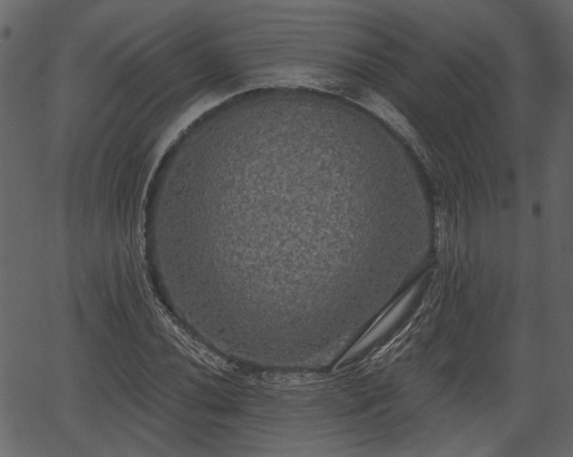 X0000066931020200603311346