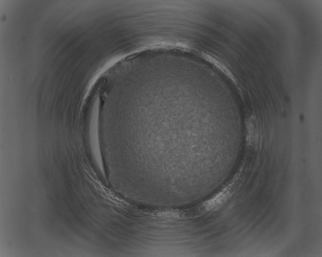 X0000066931021200603311346