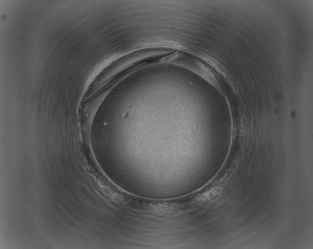 X0000066931022200603311346