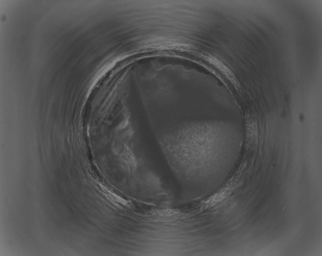 X0000066931023200603311346