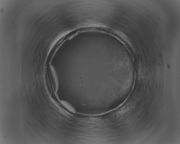 X0000066931024200603311346