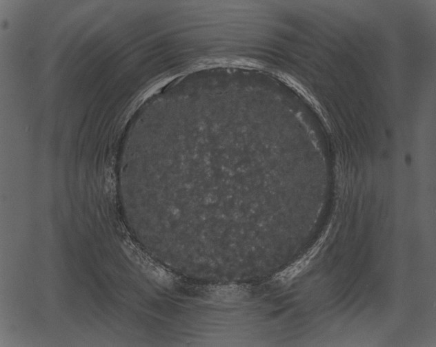 X0000066931025200603311346