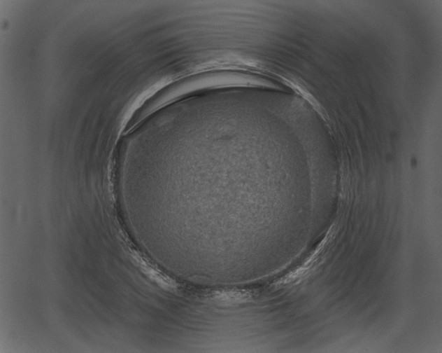 X0000066931026200603311346