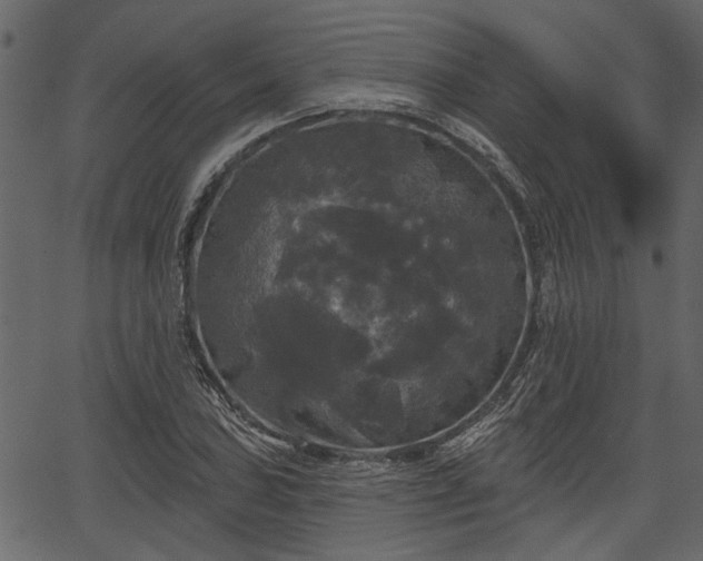 X0000066931027200603311347