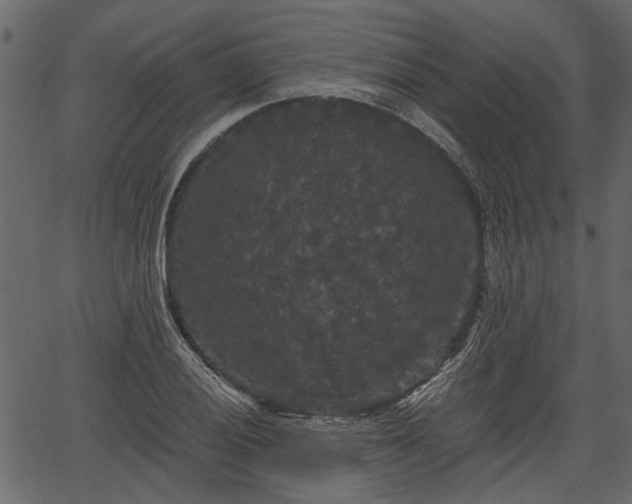 X0000066931028200603311347