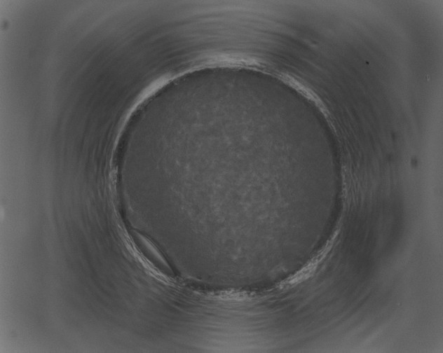 X0000066931029200603311347