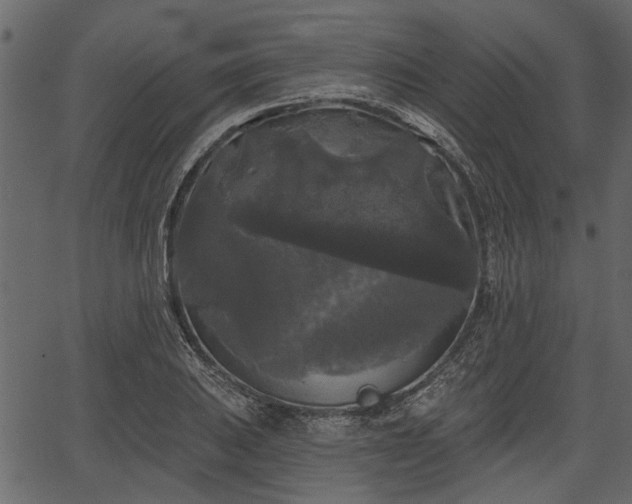 X0000066931031200603311347