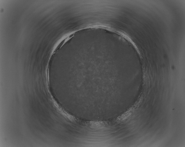 X0000066931032200603311347