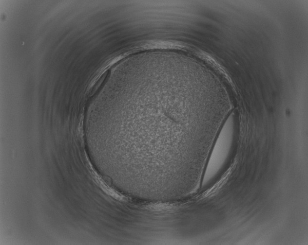 X0000066931033200603311347