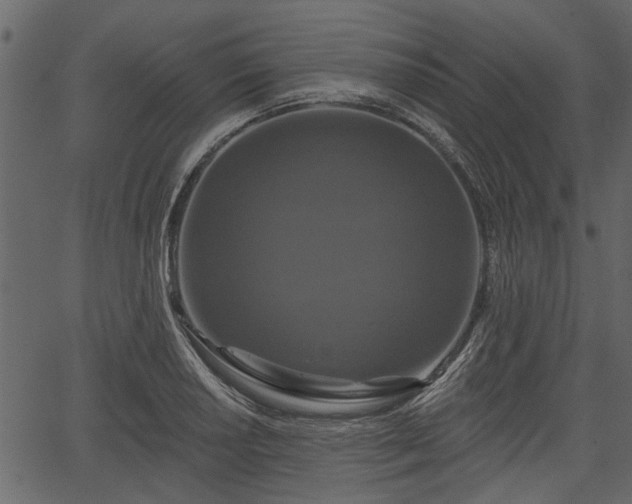 X0000066931034200603311347