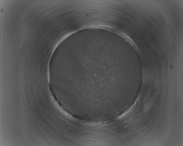 X0000066931036200603311347