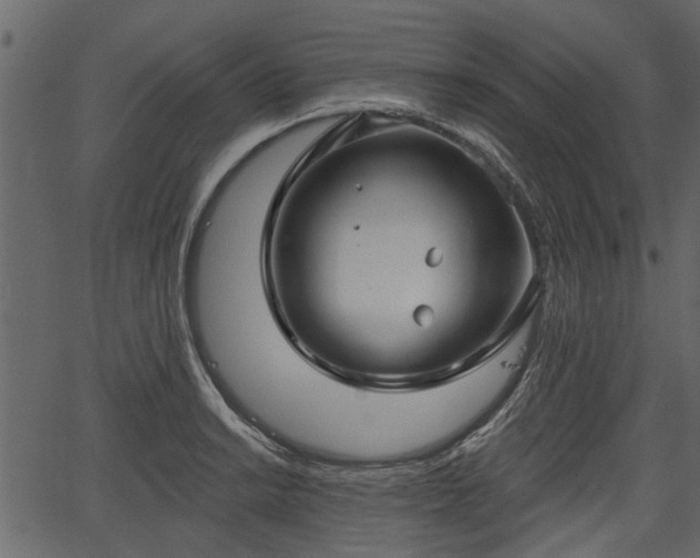 X0000066931038200603311347