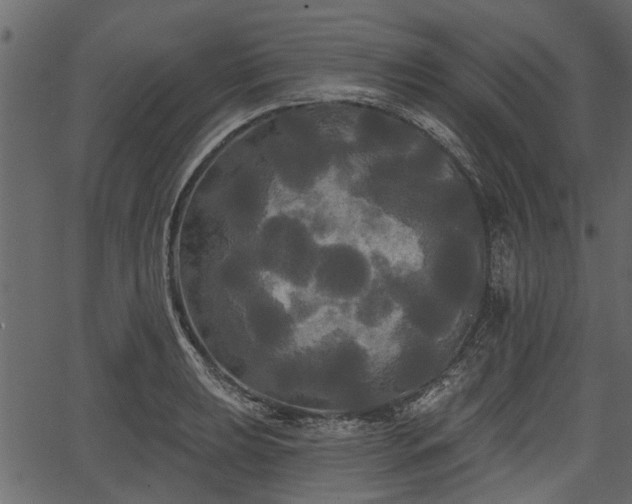 X0000066931039200603311347