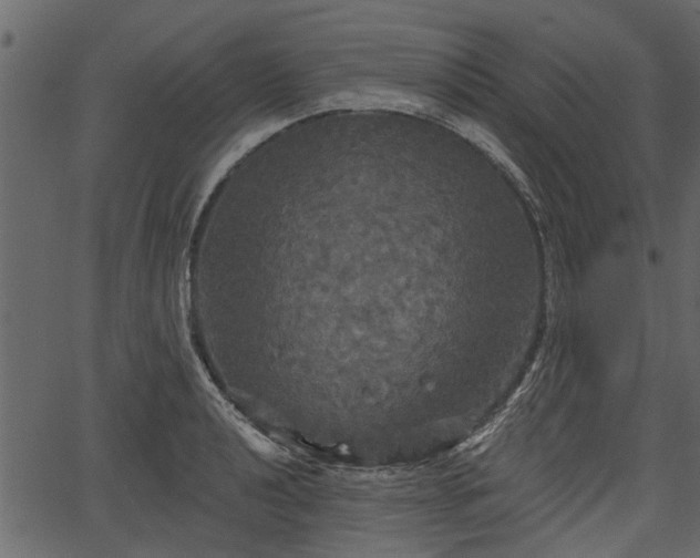 X0000066931040200603311347