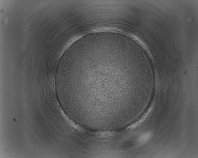 X0000066931041200603311347