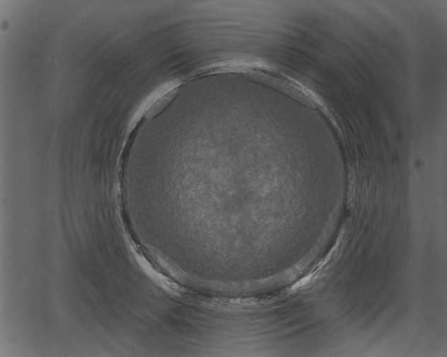 X0000066931042200603311347