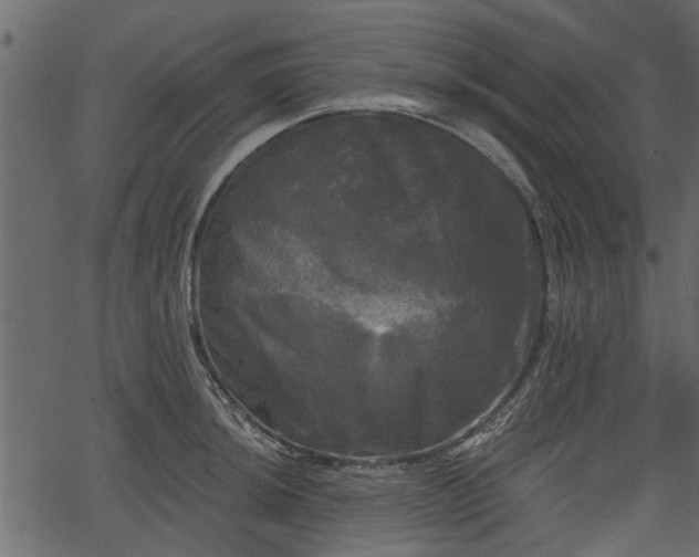 X0000066931044200603311347