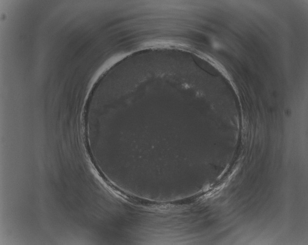 X0000066931045200603311347