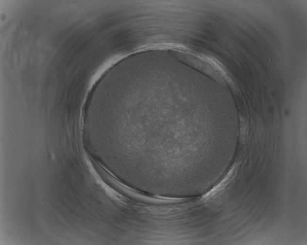 X0000066931046200603311347