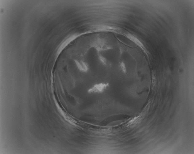 X0000066931047200603311347