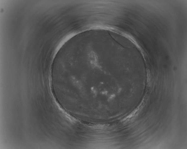 X0000066931048200603311347