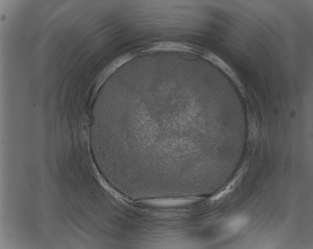 X0000066931049200603311347