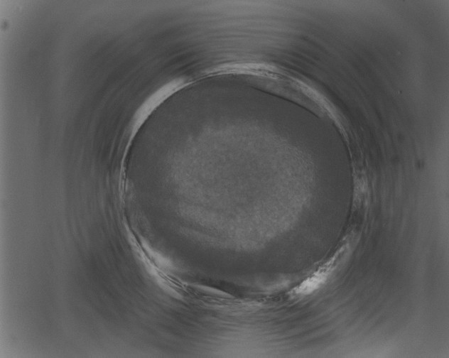 X0000066931050200603311347