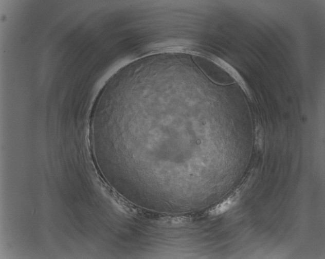 X0000066931051200603311347